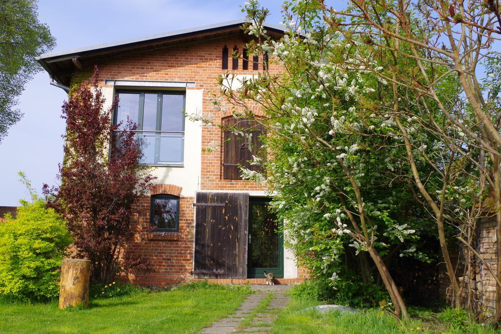 Haus Am See In Kleinzerlang Pokoj fotografie